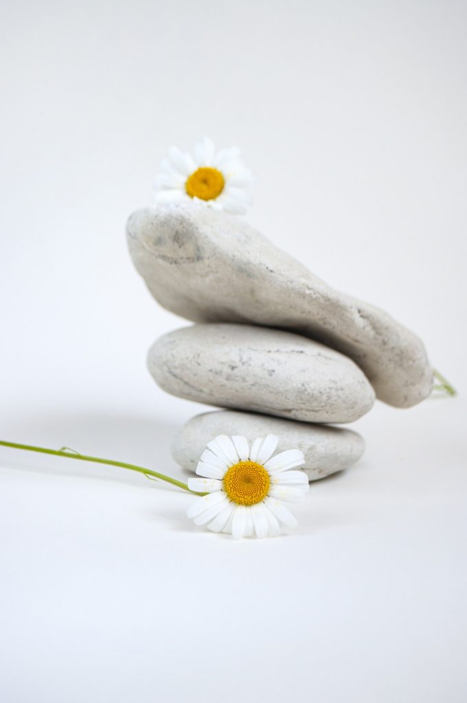 Mindfulness with daisies and stones